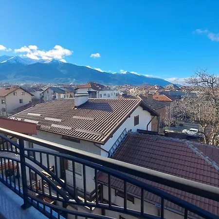 Guest house Real 3*